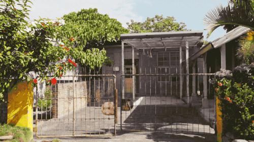 桃花林|世有桃源,不慌不忙