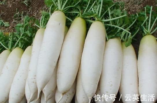 肠道|便秘的“克星”来了, 每天吃两口, 快速通便, 肠道越吃越通畅!