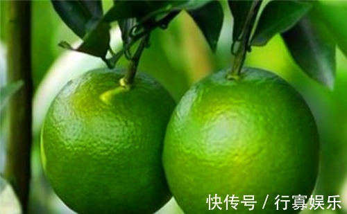 皮薄多汁|适合女性吃的4种食物，美容养颜、滋润肌肤，早吃早健康！