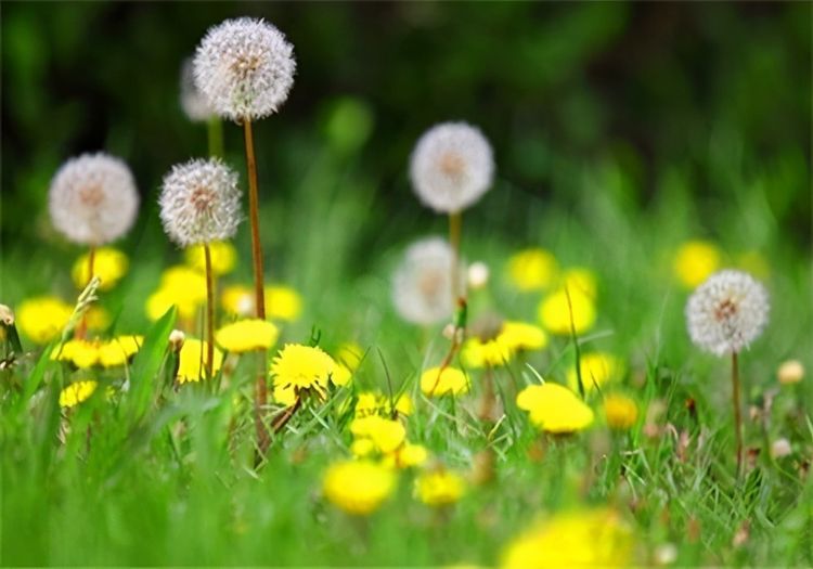 羡慕别人不生病，冬天多吃3种食物，增强抵抗力，身体更健康