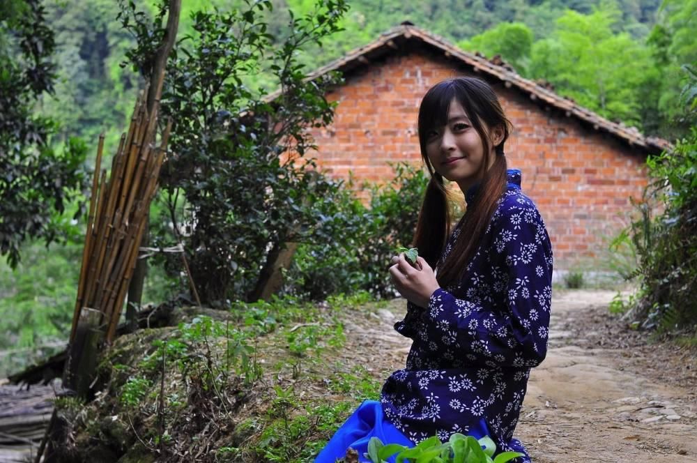 俗语|农村俗语:树怕三摇,女怕撩,老祖宗的话,你真的懂吗?
