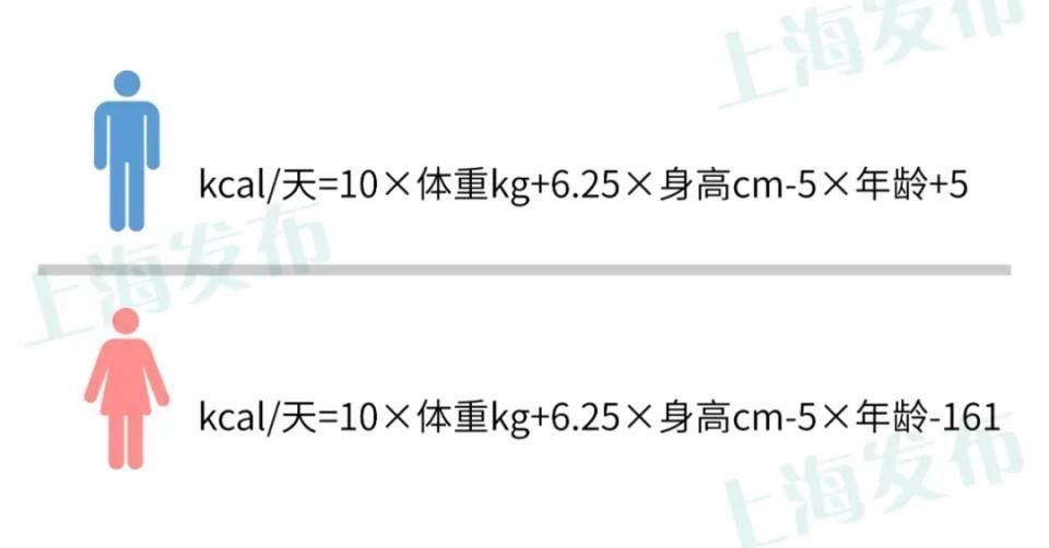 复旦大学|减肥代餐到底怎么吃?这个“能量小人”告诉你