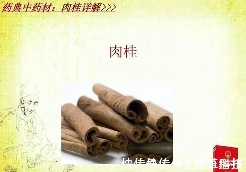 桂枝|桂附地黄丸和金匮肾气丸各自的功效有什么不同?