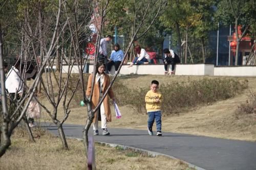 中年|【看汉寿42】新年第一天邂逅这个县城的最美“城市书房”