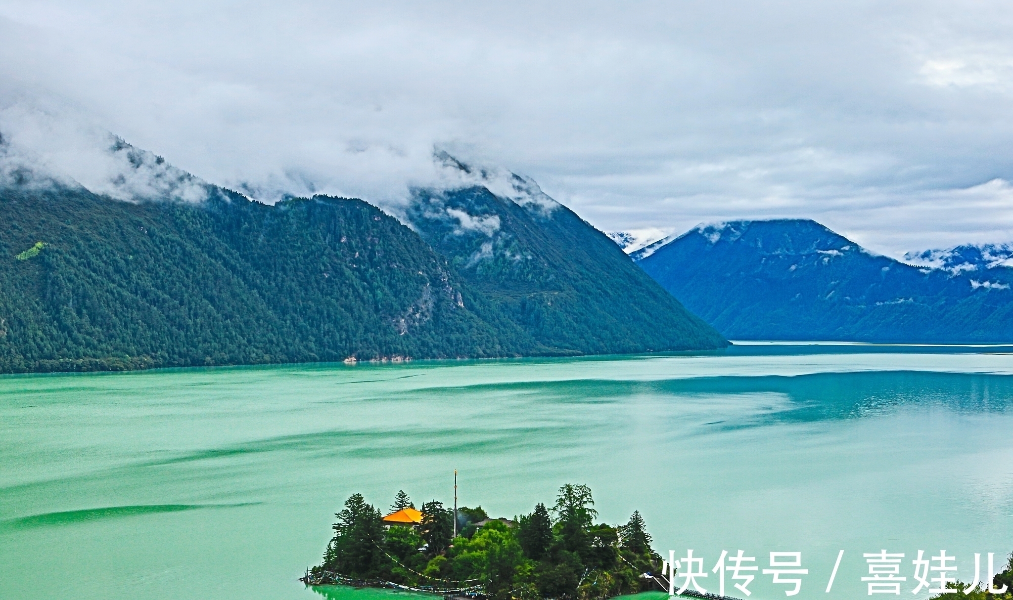 史铁生$万卷书里,阅尽人间春秋色;生花笔下,心湖绽放青白莲