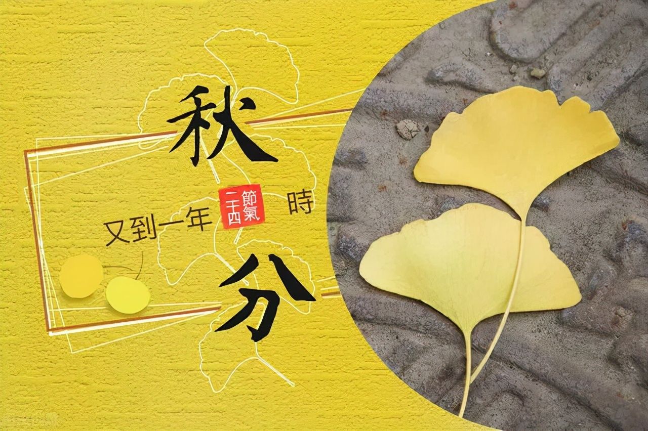 秋天&诗词丨又是一年秋分至，秋夜渐凉情渐长