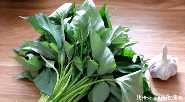 地瓜秧|此种野菜,很多人只在意它的根,殊不知它的叶子更美味,到底是啥