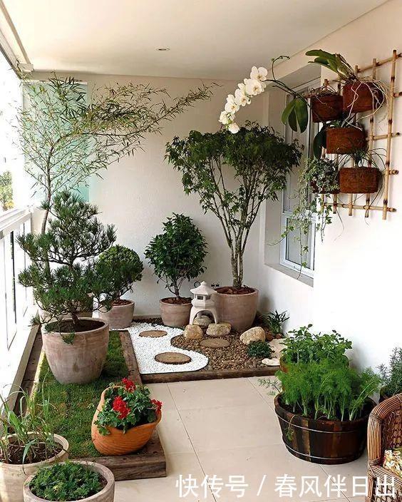 过上悠哉的小日子,不一定非要院子,有个阳台,一样可以养花种菜
