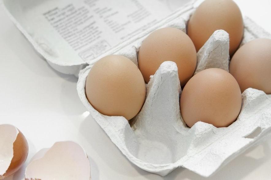 往君子兰盆里扔垃圾后会怎样,答案它只会越长越好