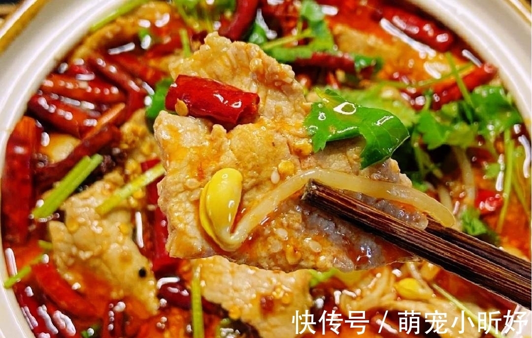 美味|美食家常菜推荐：水煮肉片，辣椒炒肉，鱼香茄子煲，美味好吃超下饭