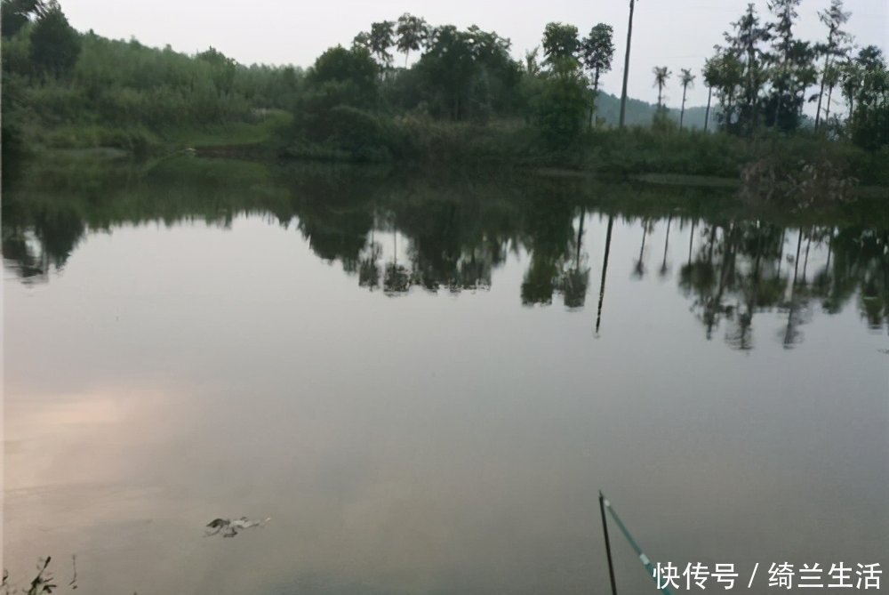 鱼儿|钓鱼不知道怎么配饵?学会这几个饵料技巧,走到哪里都不怕!