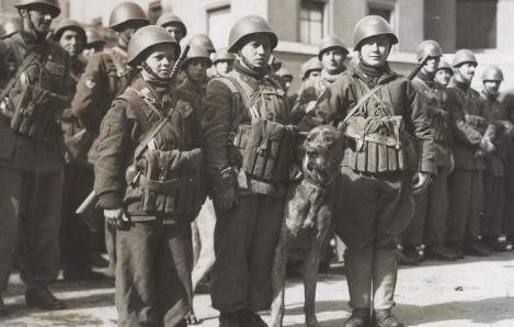 收尾|意大利“经典”一战：40万大军替德国收尾，被5万残军俘虏了13万