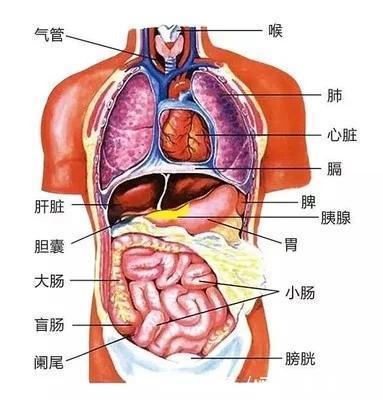  做腿部经络疏通，这些好处你要知道