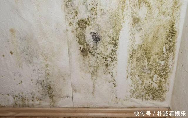 开裂|秋季墙面怎么保养3种常见“症状”，对症下药巧上家居美容课