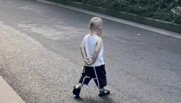 lulu|“老干部宝宝”出门溜达,背着手屁颠屁颠跟在后面,模仿到了精髓