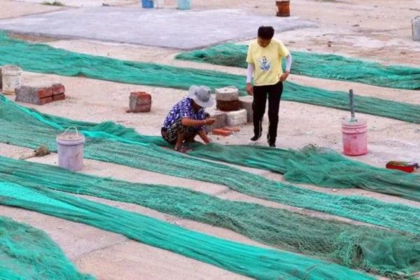 海鲜|你知道吗？青岛人吃的好多海鲜 是四川人捕捞的