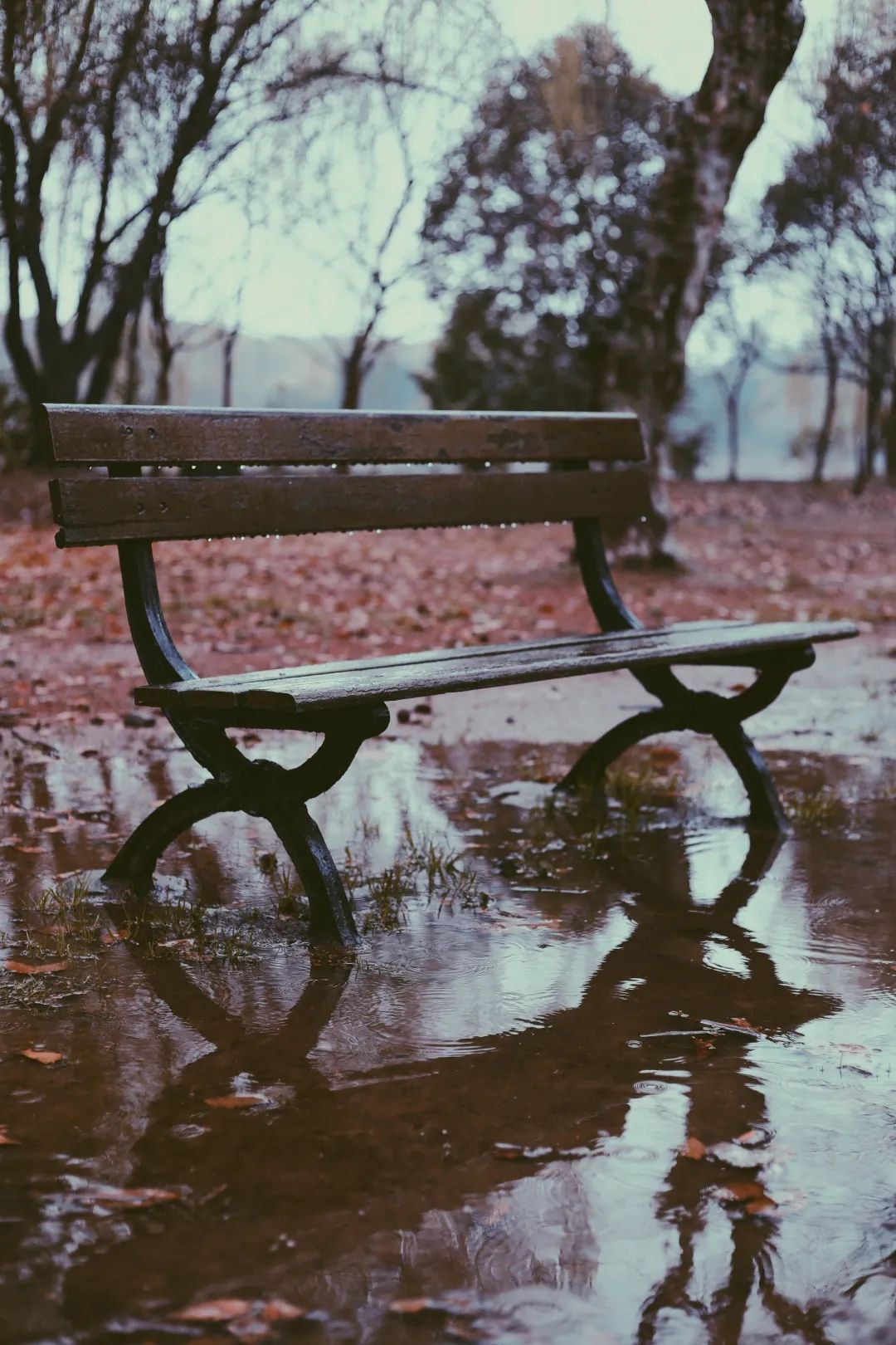 我“雨”最美校园，一起云赏沪上46所高校雨中即景