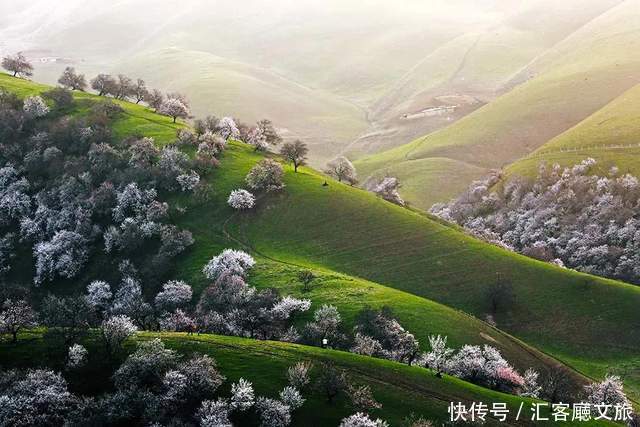 老年|如果一生只去一次新疆,这些地方你一定要知道