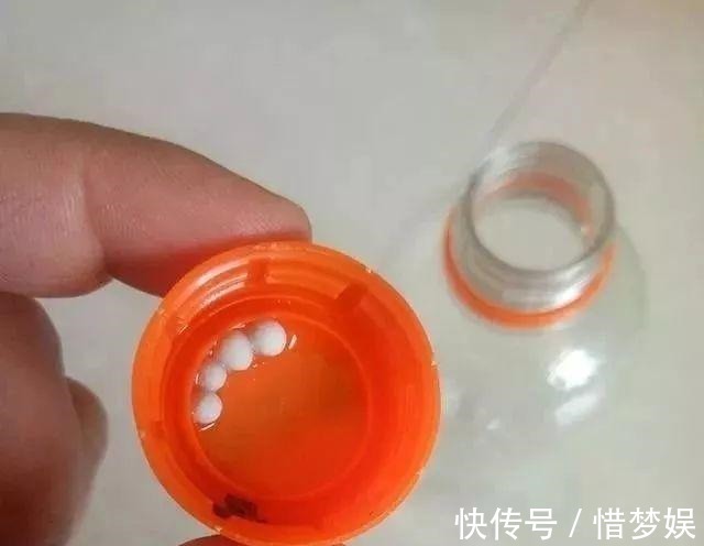 浇灌|园艺师教你,给“仙人球”把水浇对了,蹭蹭冒小球,开花100朵