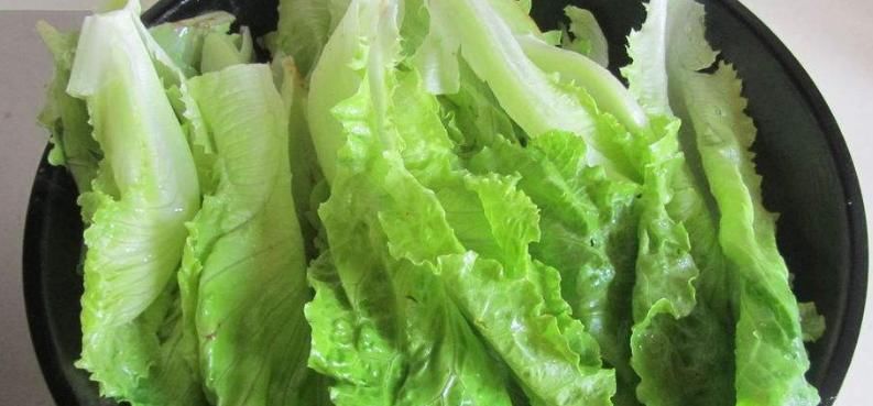  营养价值|一颗小小的生菜，它的营养价值你都知道吗？来看看吧