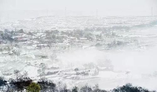  大雪节气|今日大雪，穿暖和，别冻着