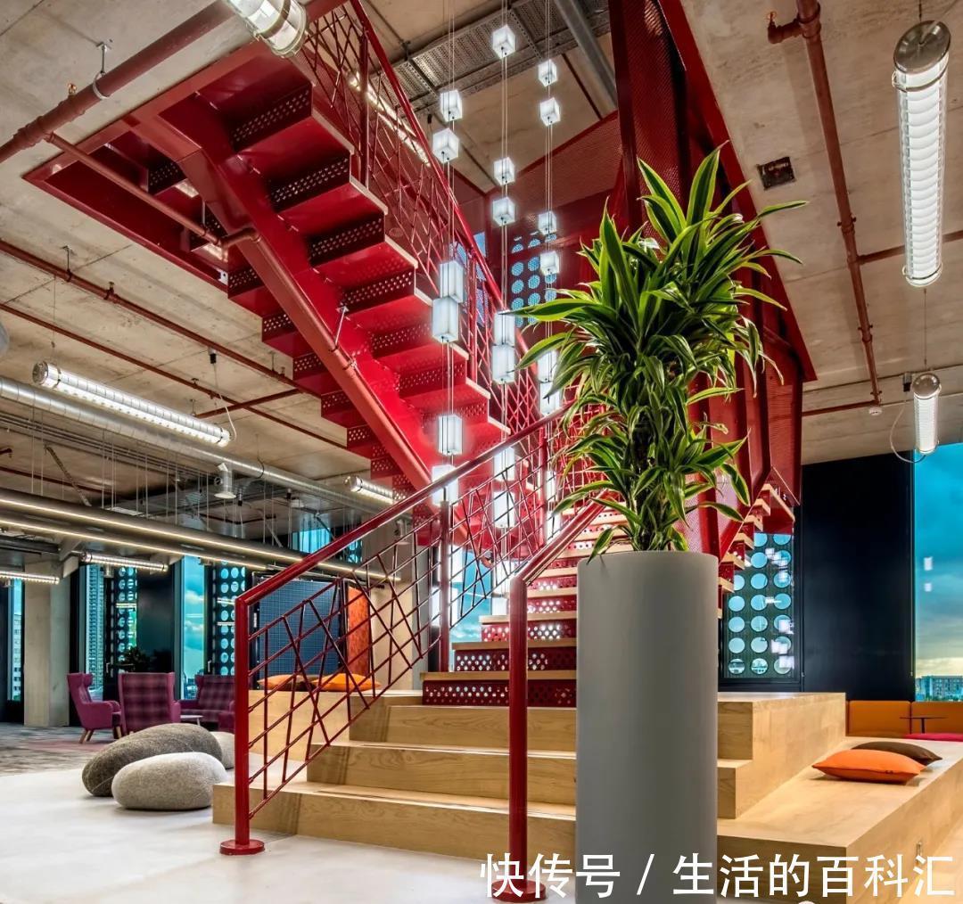 场景|绿植花卉,本草于一个家,可闻香,可观赏,可入画,可成香