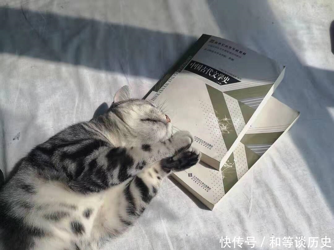 安眠药@书中自有黄金屋,书中自有“安眠药”,为啥很多人一读书就犯困?