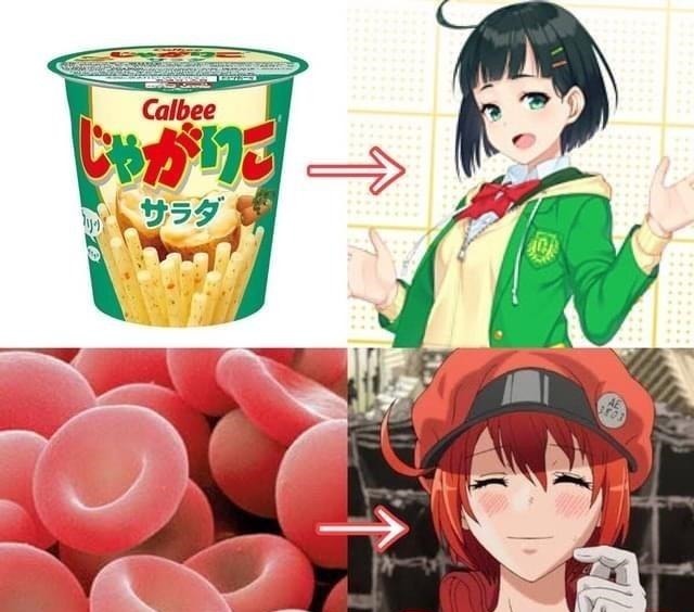 红细胞|日本网友吐槽从零食到细胞,果然什么都能变成美少女