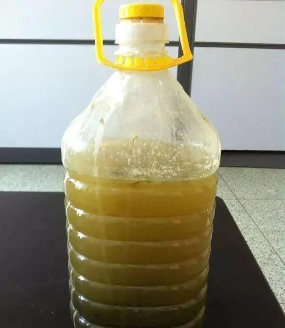 西瓜皮养花好处多,盆里加一点,花儿蹭蹭长