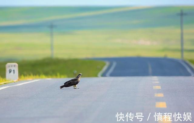 达里诺尔湖|大草原浓缩的精华，每平方公里只有5个人，没去过不敢说喜欢自驾