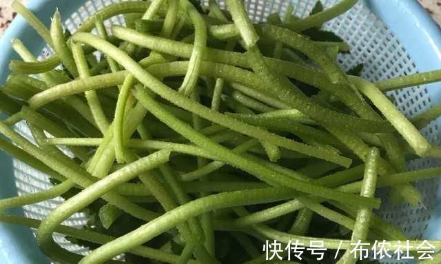 血压稳定|“高血压”最怕此菜，坚持每天吃点，血压稳定不上升，很少人知道