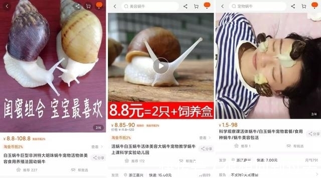 过敏体质|千元一次的“蜗牛爬脸”,真能美容吗?