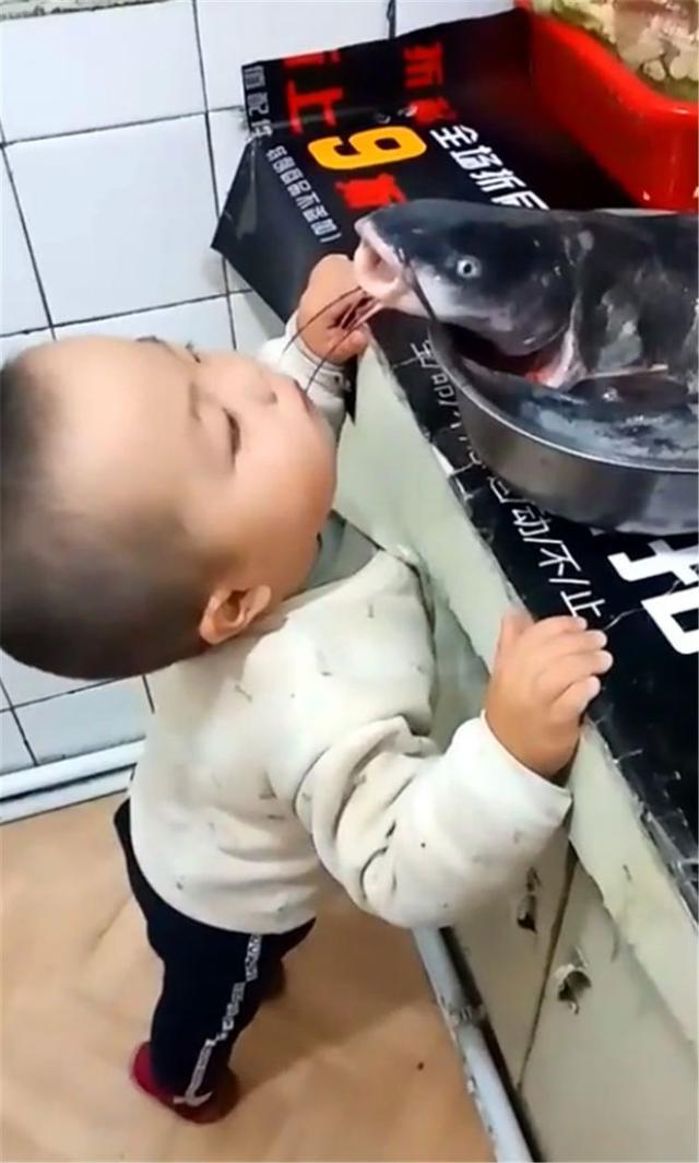 萌娃见到厨房有一条鱼,努力的想尝上一口