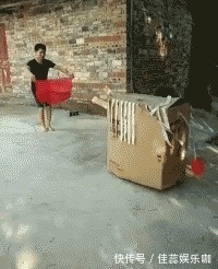 |「搞笑GIF」这是什么情况,知道现在的男孩子为什么不找女生玩了