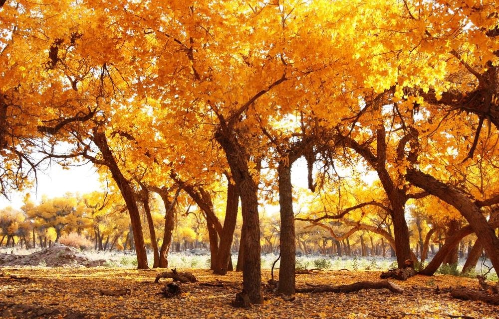 曾国藩:成全自己,必须坚持3件事