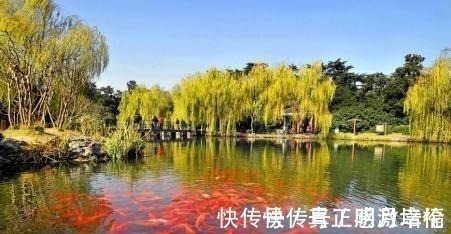 下联#俊俏尼姑出一上联池中荷叶鱼儿伞,和尚下联非常经典,动人凡心!