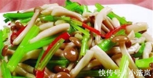 蘑菇|美味佳肴的几道家常菜,营养美味,味道浓郁超下饭