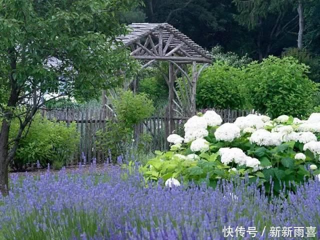 60款豪宅花园设计,自然安静的生活就该如此惬意