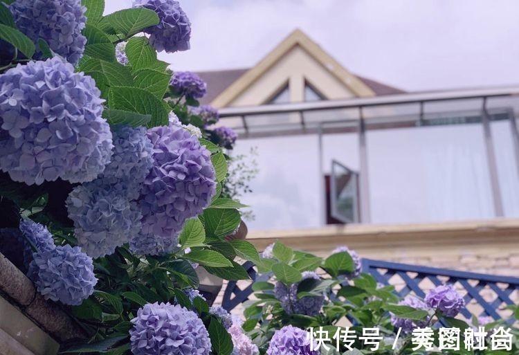 无尽夏|庭院改造:50㎡的下沉式庭院造花园,有地我也建一个,太好看了!