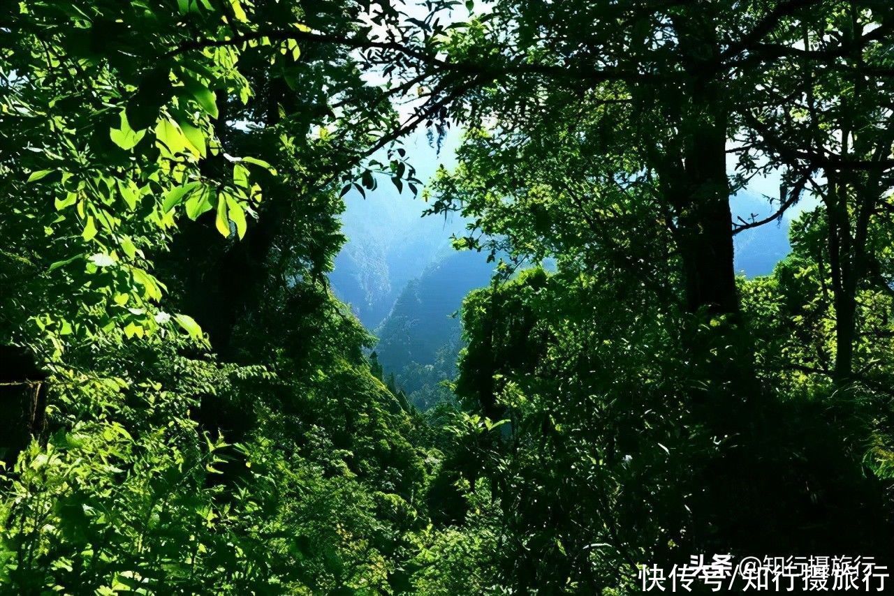 “西藏江南”是这座边境小城的外号，来过一次便忘不了