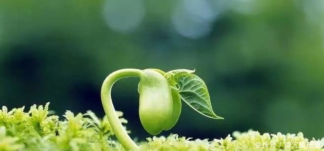 古话:春不捡鸡,冬不拾兔,告诫人们不要乱捡东西,否则会遭殃