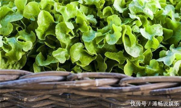 食物|夏天了,不防多吃3种食物,肌肤紧致了,皱纹淡了,皮肤更细腻