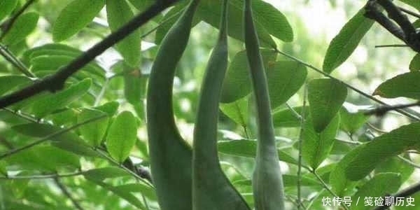 在古代,不管男女头发都非常长,那么他们如何清洁的