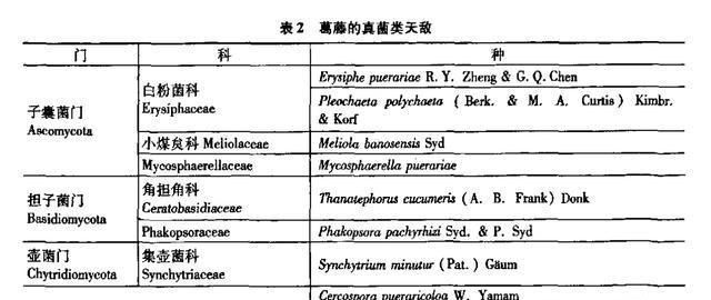 国内挖到绝迹的葛根，在美国却泛滥成灾，网友：真不识货