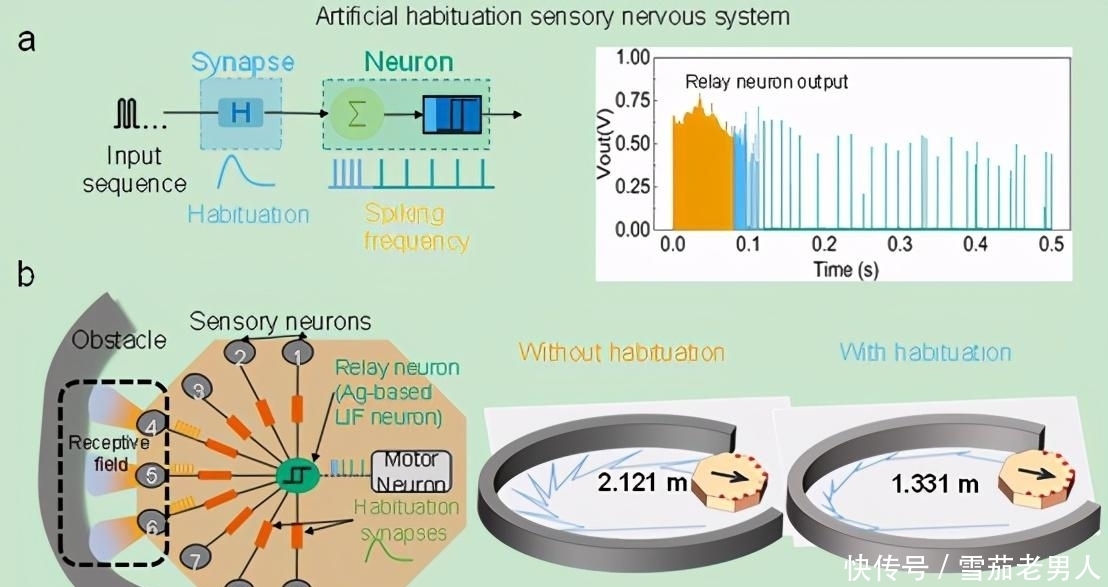 机器人|中科院再次“破冰”,这一技术比光刻机还厉害,前景广阔