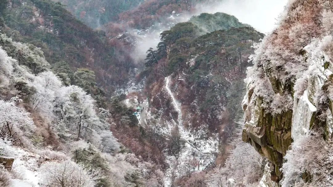 期待|期待一场大雪 邂逅最美山“冬”