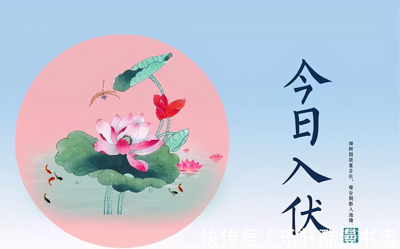 多汁|头伏包饺子,还得用这个菜,皮薄馅大,鲜嫩多汁,老人孩子都爱吃