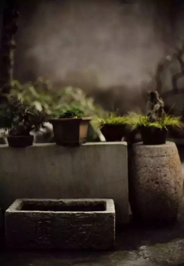 一些山石,美了整个院子