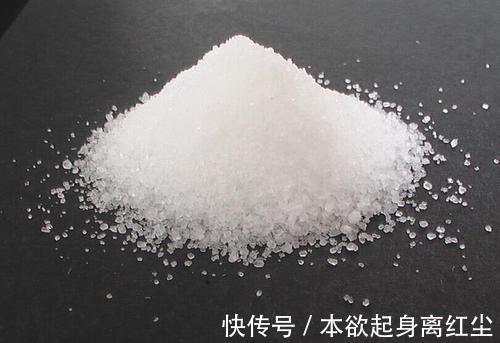 什么淘米水、黄豆水都不如2种肥,啥花都喜欢,养啥都爆盆!