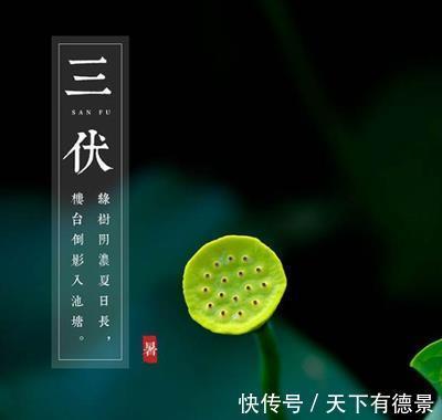 马铃薯|三伏天最合适减肥,多吃”3黄“,少吃”2白“,顺应时节助减肥